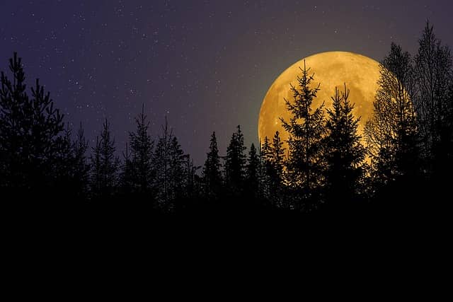What does darkness symbolize in Lord of the Flies