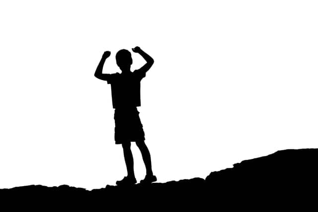 Who is Robert in Lord of the Flies